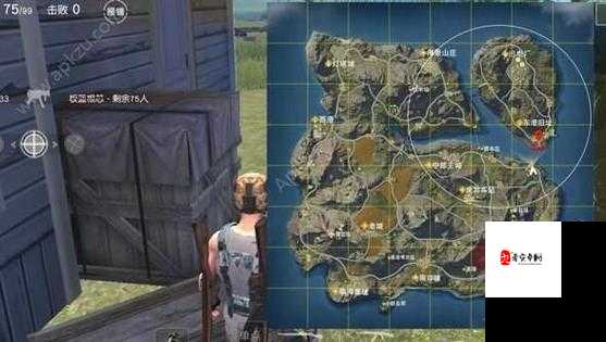 荒野行动中的透视技巧，资源管理、高效利用与避免浪费