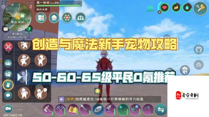 创造与魔法小狗，宠物养成攻略与价值最大化