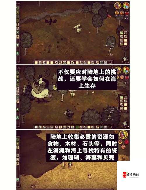 饥荒养什么动物最好，资源管理视角下的策略分析