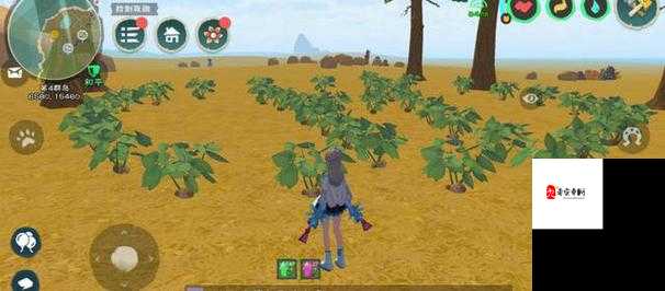 探索创造与魔法的奇妙世界，揭秘士豆的藏身之处