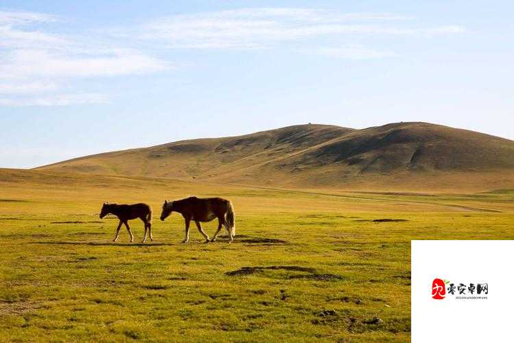 创造与魔法探秘，驰骋草原，谁才是速度之王？