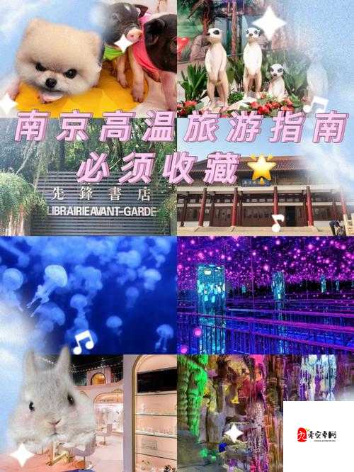 创造与魔法蜥蜴探险指南，解锁它们的神秘栖息地