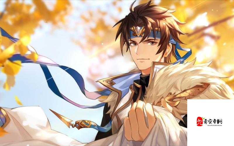 三国志幻想大陆赵云怎么搭配，策略、技巧与价值最大化