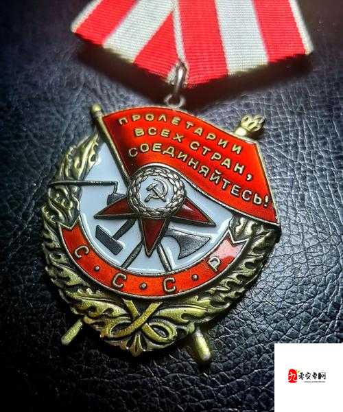 冰原守卫者战场勋章的获取与管理，策略与实践