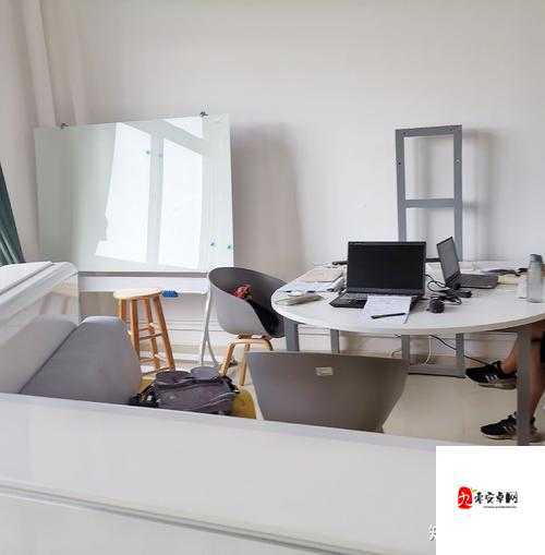 冰原守卫者佣兵床怎么做，资源管理、高效利用与避免浪费