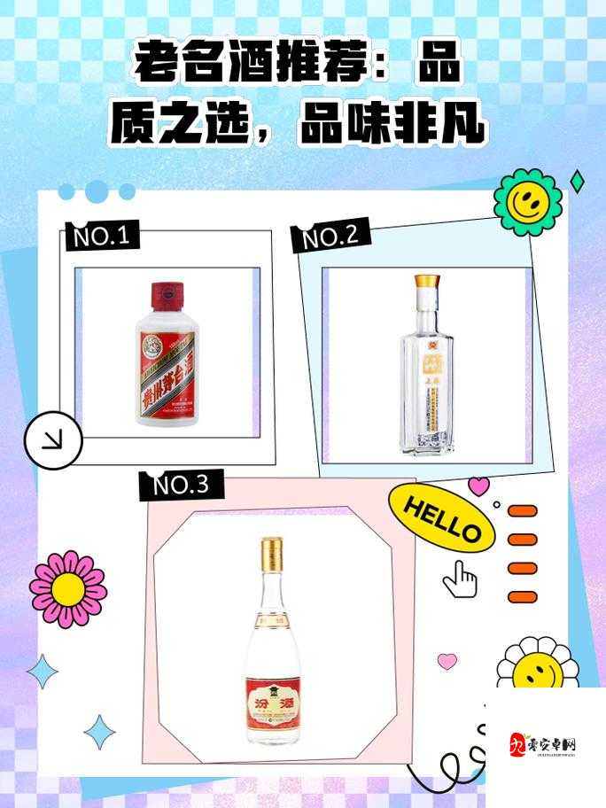 96 精品：优质之选，非凡体验