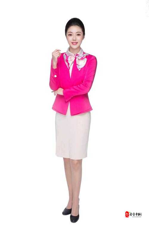 法国空姐 2020 满天星法版：星辉照耀：一段梦幻之旅