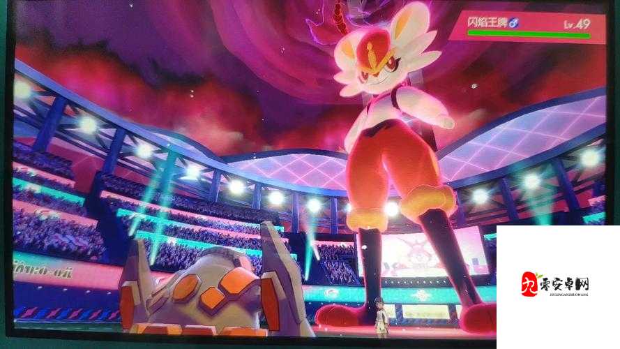 口袋妖怪剑盾对战，村规背后的奥秘