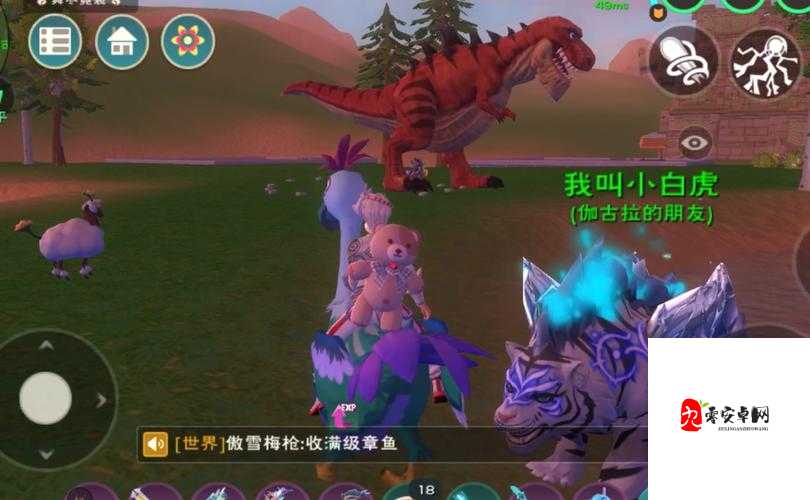 创造与魔法章鱼在哪，探索、管理与价值最大化