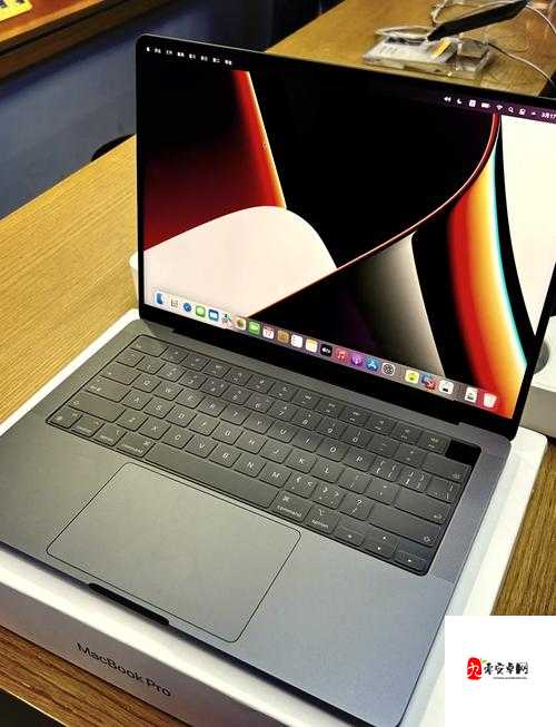 MacBook Pro 高清完整性系：极致视觉体验的卓越之选