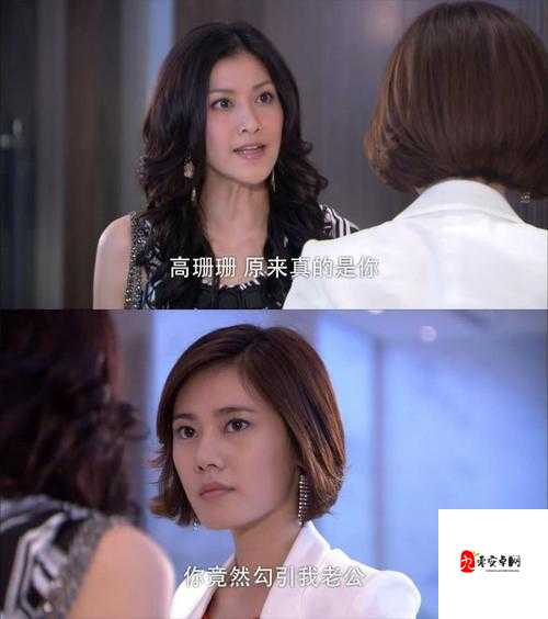 原配被绿后：妻子的复仇