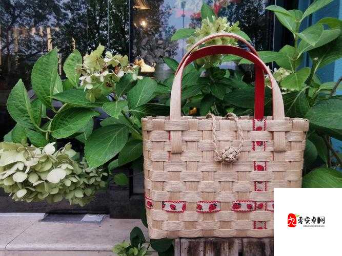 创造与魔法，解锁篮子编织的奇幻之旅