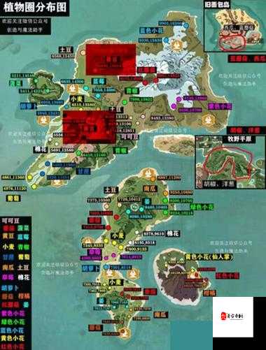 探索创造与魔法中的黄豆宝藏地