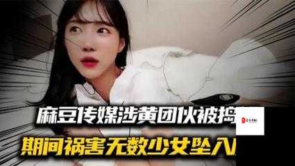 麻豆传媒国产影片：揭秘成人影视行业的秘密