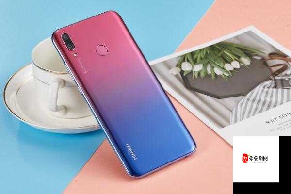 免费畅享观看 b 精彩内容，无需任何花费