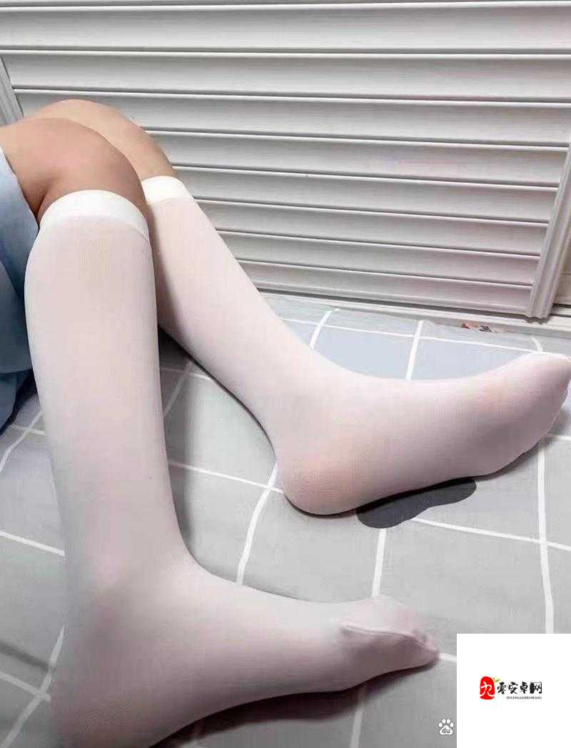 白丝校花甜美游戏：扒开美腿的极致诱惑