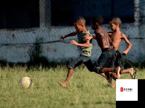 巴西人：探索性与爱的奥秘