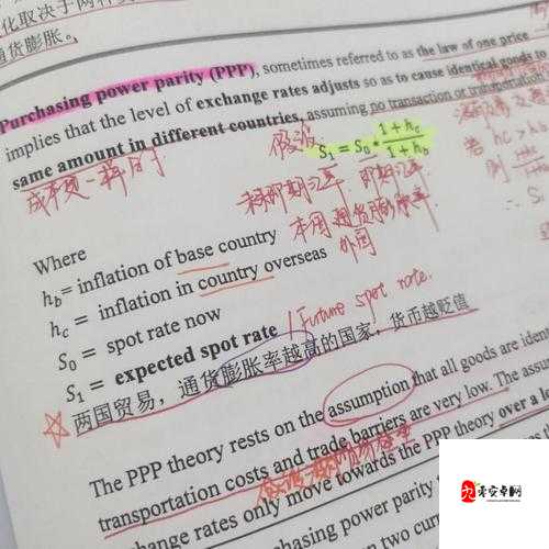 ACCA 少女网课视频 24 详细讲解与学习指南