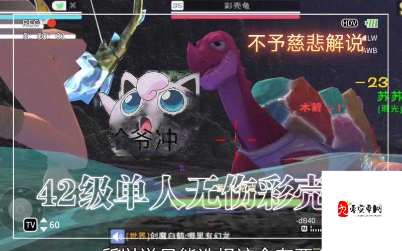 创造与魔法，无伤捕捉彩壳龟的奇妙之旅