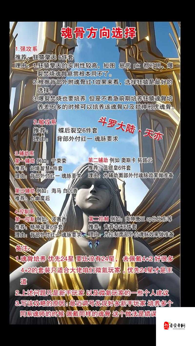 斗罗大陆魂师专属魂骨分析，资源管理的艺术