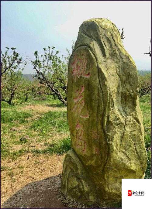 桃花岛 CM7 ：探索其独特魅力与无限可能的奇妙之旅