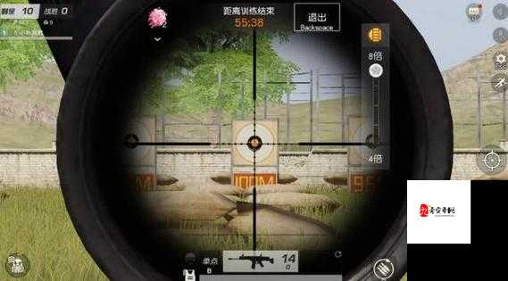 荒野行动，精准打击，从准心设置开始