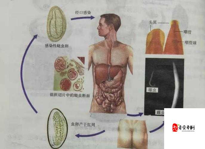 叔叔称我体内有虫子，这究竟是怎么回事