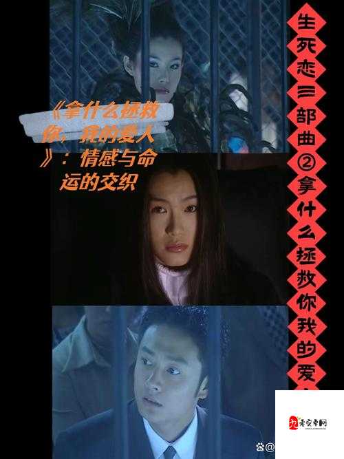 冲喜侍妾：命运交织中的爱恨情仇与无奈挣扎