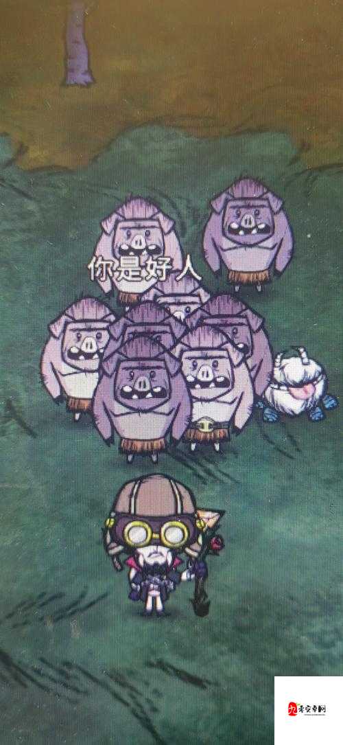 饥荒金色腰带，解锁生存新境界的钥匙