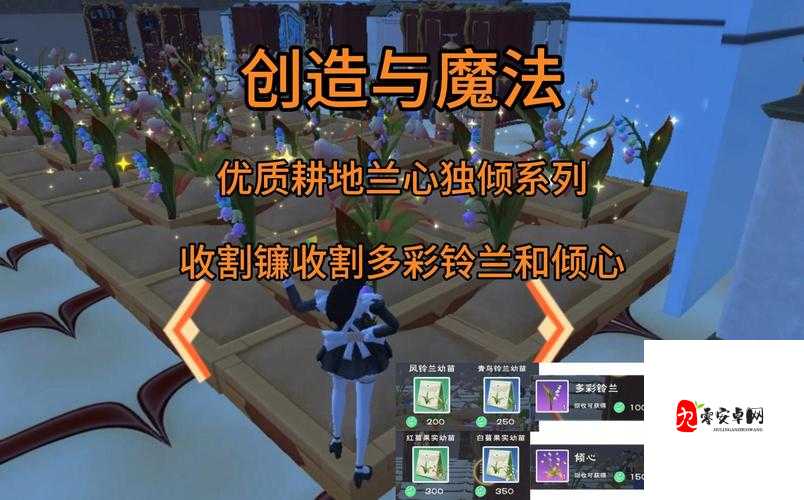 创造与魔法优质耕地玩法介绍