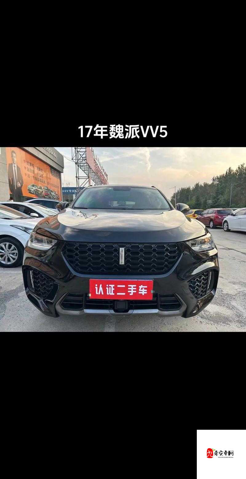 weyvv5 国产 SUV 不再限制观看啦