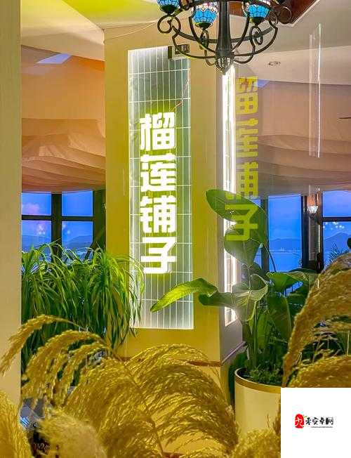 榴莲爱好者的天堂：ll999 榴莲，让你无法抗拒的美味