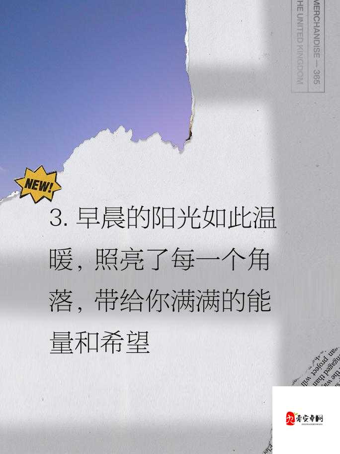 开启美好一天早上起来就装得满满的牛奶壶：让幸福满溢