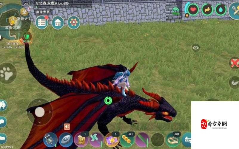 创造与魔法黑烛龙礼包：开启神秘世界的钥匙