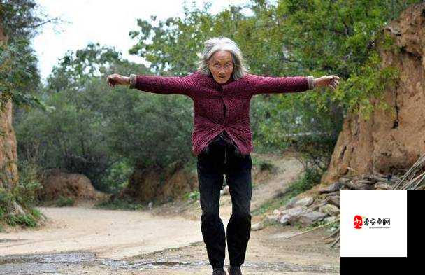 80 岁老太太 cheapwindowsvps 的传奇故事