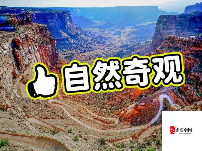 探索美国的自然宝藏：国家公园、森林和自然奇观