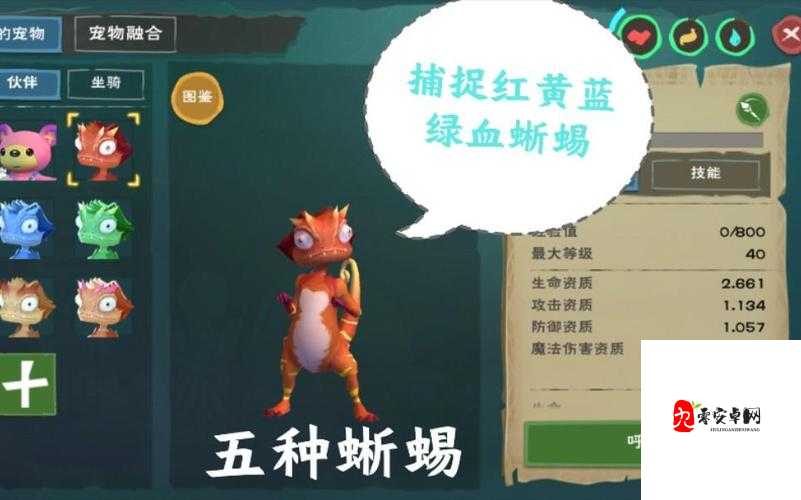 探索创造与魔法中的血蜥蜴乐园