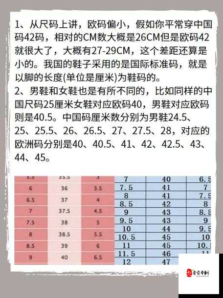 欧洲尺码和亚洲尺码的由来及两者差异与历史演变