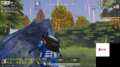 荒野行动，精准区分毒圈，制胜资源管理的艺术