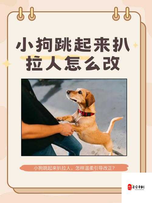 家里没人时可不可以进行那样的行为呢