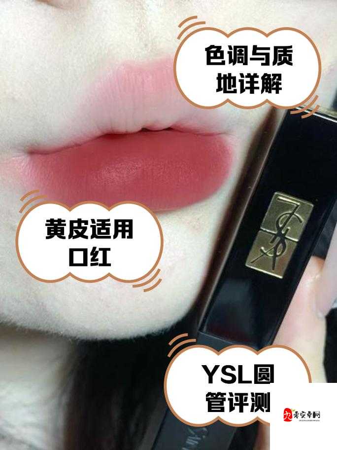 ysl 蜜桃棕调色技巧：打造自然清新妆容