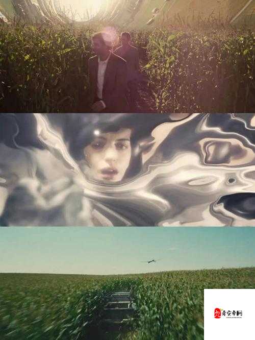 他强而有力的律动表现如何：令人心跳加速的震撼体验