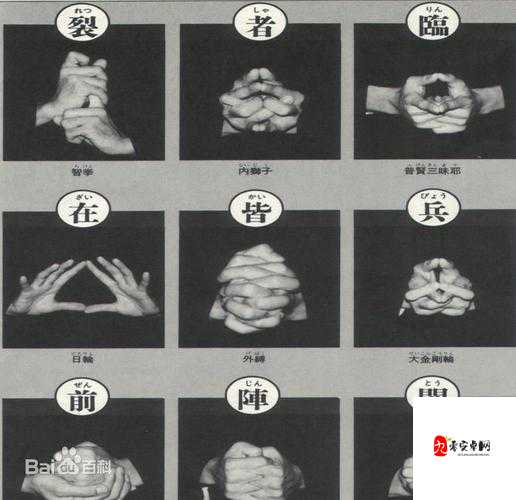 忍术结印大全顺序全揭秘：手印之精妙演绎