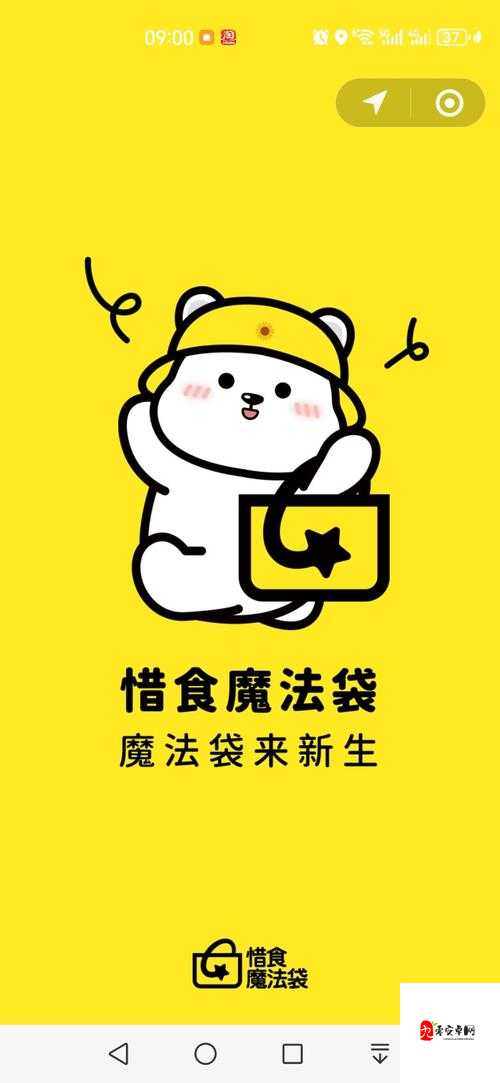 探索创造与魔法中的面包岛，资源管理、高效利用与避免浪费