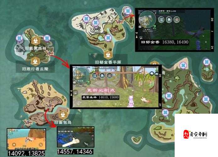 创造与魔法云斑鹦鸟刷新点全揭秘