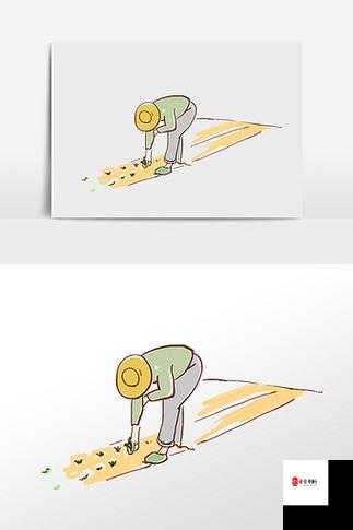 情侣的 30 种插秧法图片视频无法观看：探寻背后原因究竟为何