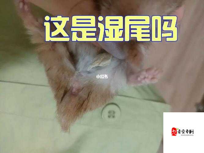 女生流出白白的东西怎么回事：专家详细解答