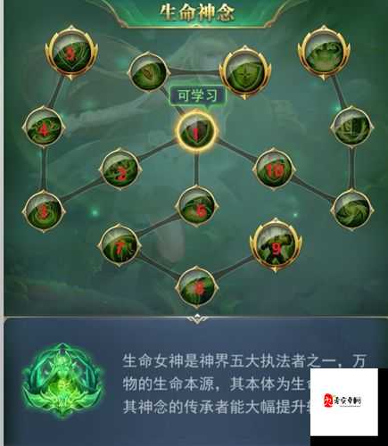 斗罗大陆生命神念怎么点，资源管理、高效利用与最大化价值