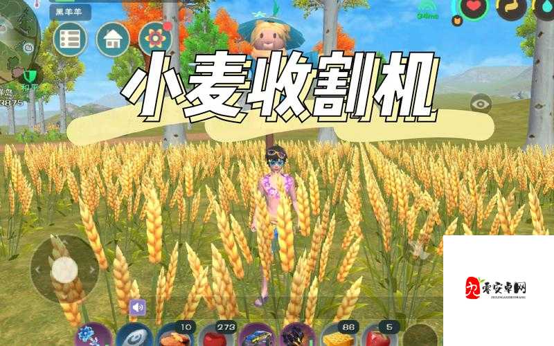 创造与魔法小麦多久成熟一次，资源管理的艺术