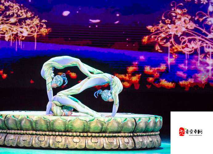 至尊绝技分享：涵盖各类精彩绝伦的独特技艺大揭秘